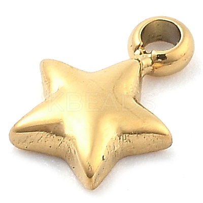 Ion Plating(IP) 304 Stainless Steel Charms STAS-P379-06A-G-1