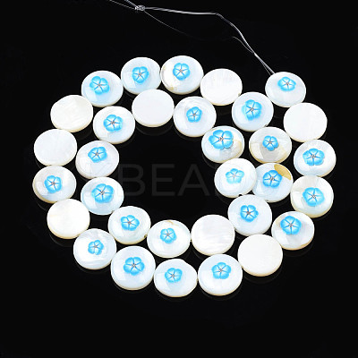 Natural Freshwater Shell Enamel Beads SHEL-N026-194-03A-1