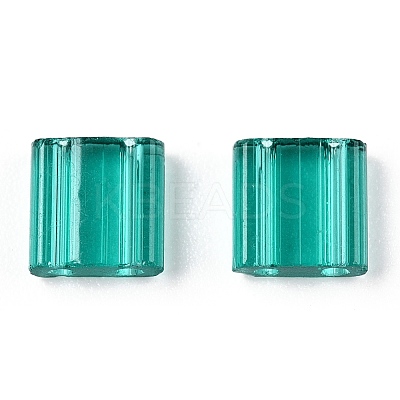 2-Hole Glass Seed Beads SEED-T003-01C-09-1