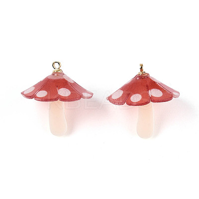 Plastic Pendants KY-N015-118C-01-1