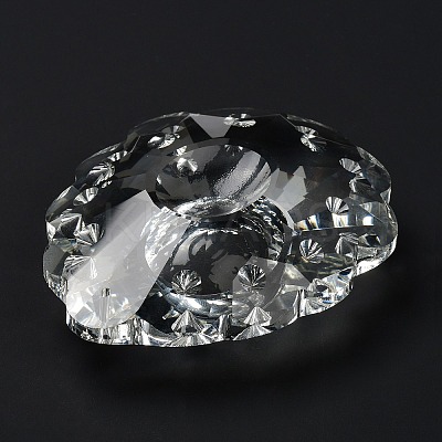Transparent Glass Big Pendants GLAA-R223-13-1