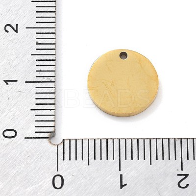 304 Stainless Steel Charms STAS-I327-01G-02-1