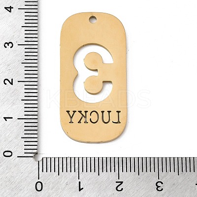304 Stainless Steel Pendants STAS-D200-02D-G-1