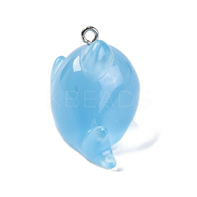 Luminous Resin Pendants LS-RESI-U001-01F-1