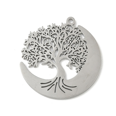 304 Stainless Steel Pendants STAS-V016-10P-1
