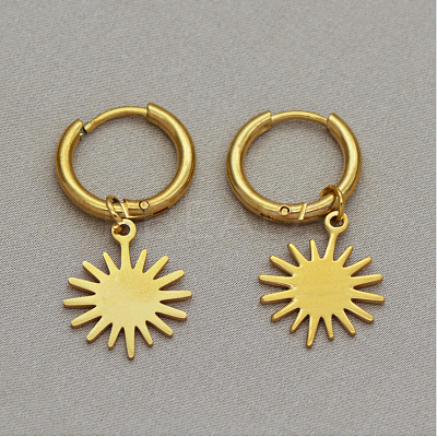 304 Stainless Steel Hoop Earrings WGD8CF2-03-1