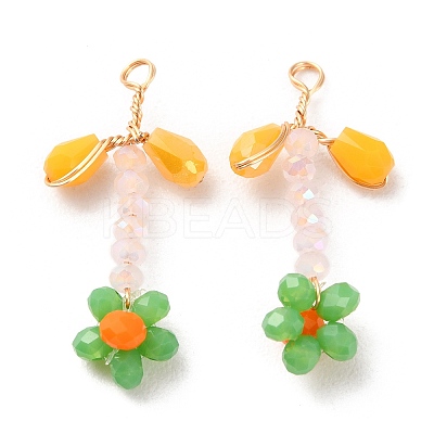 Glass Beaded Pendants GLAA-K060-02G-01-1