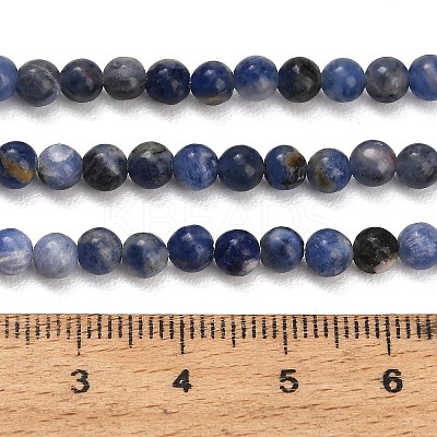 Natural South Africa Sodalite Beads Strands LS-G-S259-35-4mm-1