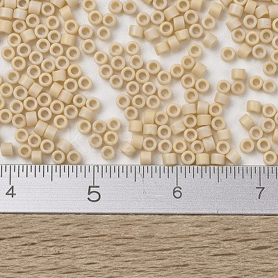 MIYUKI Delica Beads X-SEED-J020-DB1591-1
