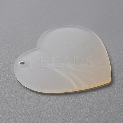 Gradient Transparent Acrylic Disc Big Pendants FIND-WH0032-54D-1