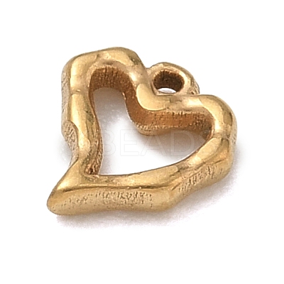 304 Stainless Steel Charms SA-B007-02G-D-1