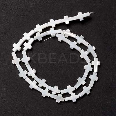Natural Trochid Shell/Trochus Shell Beads SSHEL-O0001-22A-1