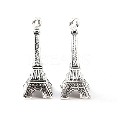 Tibetan Style Alloy Pendant TIBE-M001-06A-AS-1