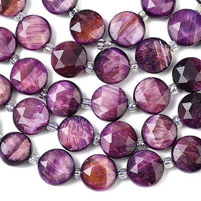 Natural Tiger Eye Beads Strands G-F812-C09-01D-1