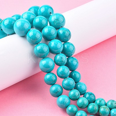 Natural Magnesite Graduated Beads Strands G-F604-01-1