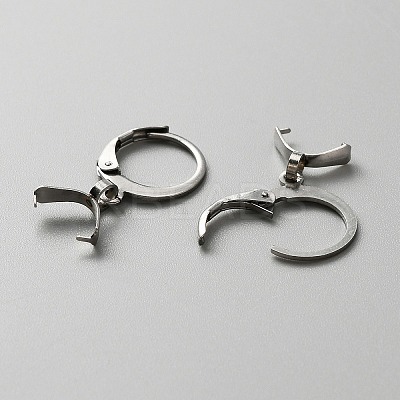 304 Stainless Steel Leverback Earring Finding LS-STAS-WH0022-87P-1