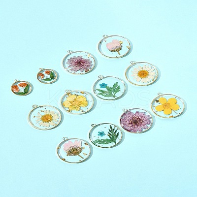 12Pcs 6 Styles Transparent Clear Epoxy Resin Pendants RESI-FS0001-88B-1