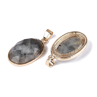 Natural Labradorite Pendants G-Q606-92G-01-1