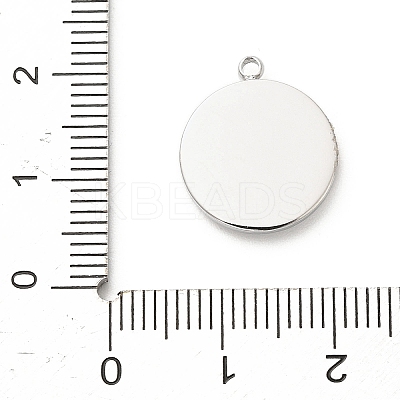 304 Stainless Steel Rhinestone Pendants STAS-P399-02D-1