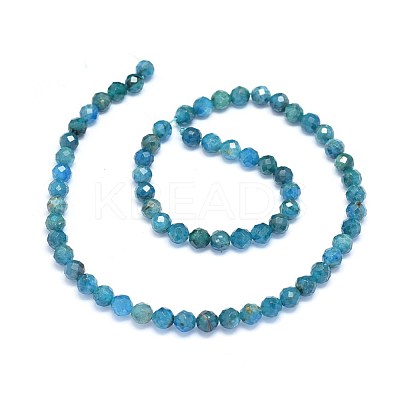 Natural Apatite Beads Strands G-O180-12-6mm-1