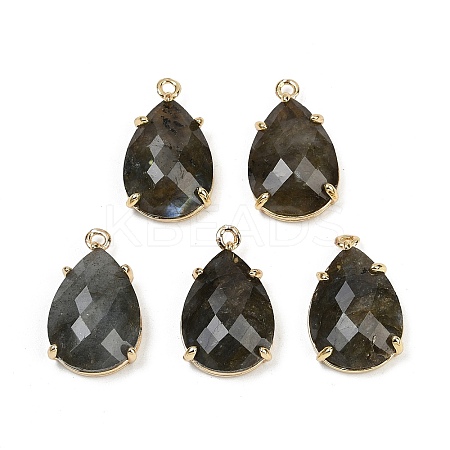 Natural Labradorite Faceted Pendants G-K347-05G-02-1