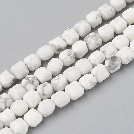 Natural Howlite Beads Strands G-I270-09-1