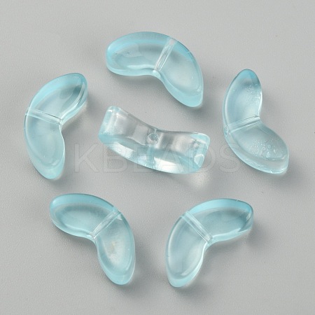 Transparent Handmade Lampwork Beads LAMP-CJC0012-01G-1