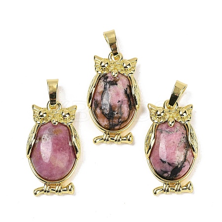 Natural Rhodonite Pendant KK-F887-02G-08-1