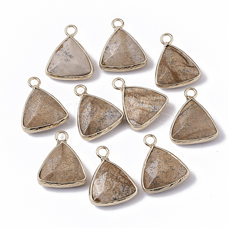 Natural Picture Jasper Pendants G-S359-029D-1