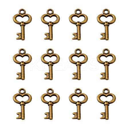 Gifts Ideas for Her Tibetan Style Alloy Charms MLF11975Y-NF-1