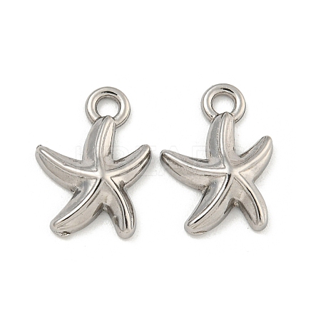 Non-Tarnish 304 Stainless Steel Charms STAS-I307-517P-1