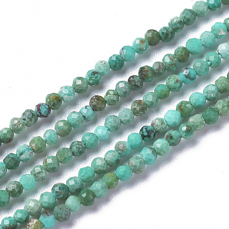 Natural Howlite Beads Strands X-G-F596-09-2mm-1