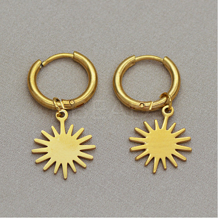 304 Stainless Steel Hoop Earrings WGD8CF2-03-1