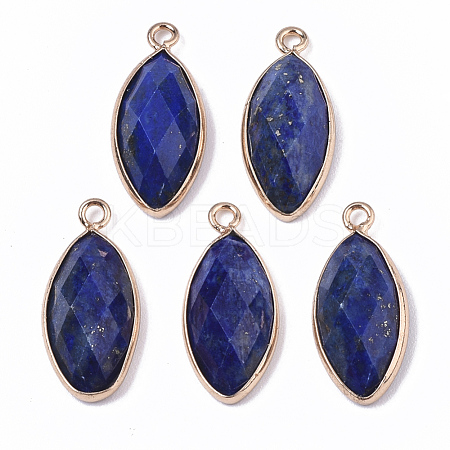 Natural Lapis Lazuli Pendants G-T131-07B-1