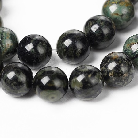 Natural Kambaba Jasper Beads Strands G-M172-12mm-01-1