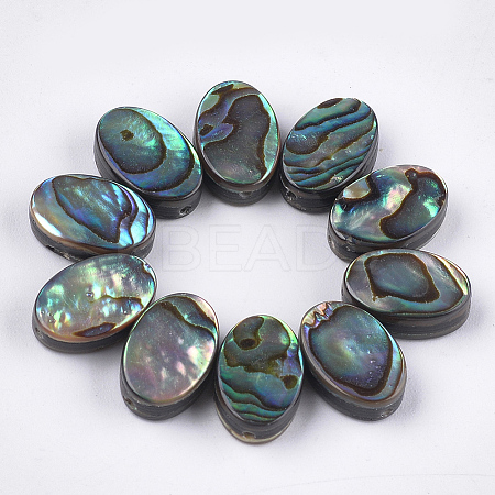 Abalone Shell/Paua Shell Beads LS-SSHEL-T008-07-1