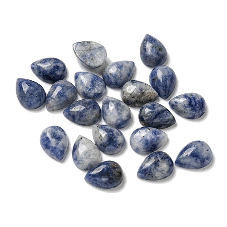 Natural Blue Spot Jasper Cabochons G-Q173-02B-14-1