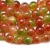 Natural Malaysia Jade Beads Strands G-L645-C01-14mm-25-4