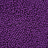 11/0 Grade A Baking Paint Glass Seed Beads X-SEED-N001-A-1054-2