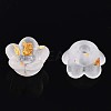 Frosted Transparent Acrylic Beads OACR-N137-72A-3