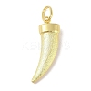 Rack Plating Brass Pendants X-KK-S380-02G-1