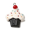Opaque Resin Imitation Food Pendants LS-FIND-Z006-05A-1