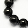 Natural Obsidian Bead Strands G-R173-10mm-02-1