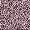 TOHO Round Seed Beads SEED-JPTR11-PF0554F-2