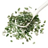 Natural Jade Beads Chip Beads G-Q193-06C-1