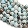 Natural Larimar Beads Strands G-L642-B19-8mm-4