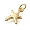 Brass Pendants KK-D431-022B-G-2