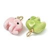 Handmade Porcelain Charms PALLOY-JF05920-2