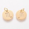 304 Stainless Steel Charms STAS-Q201-T445-8G-2