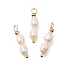 Natural Freshwater Pearl Beaded Pendants PA-CBAF2FA-02G-02-1